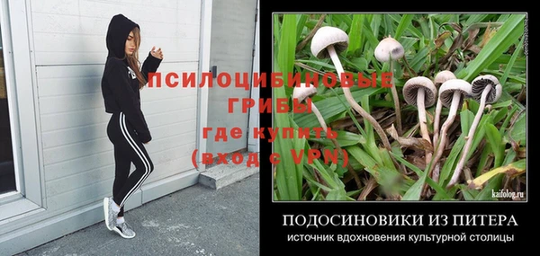 гидропоника Инсар
