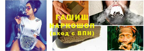 PSILOCYBIN Инта